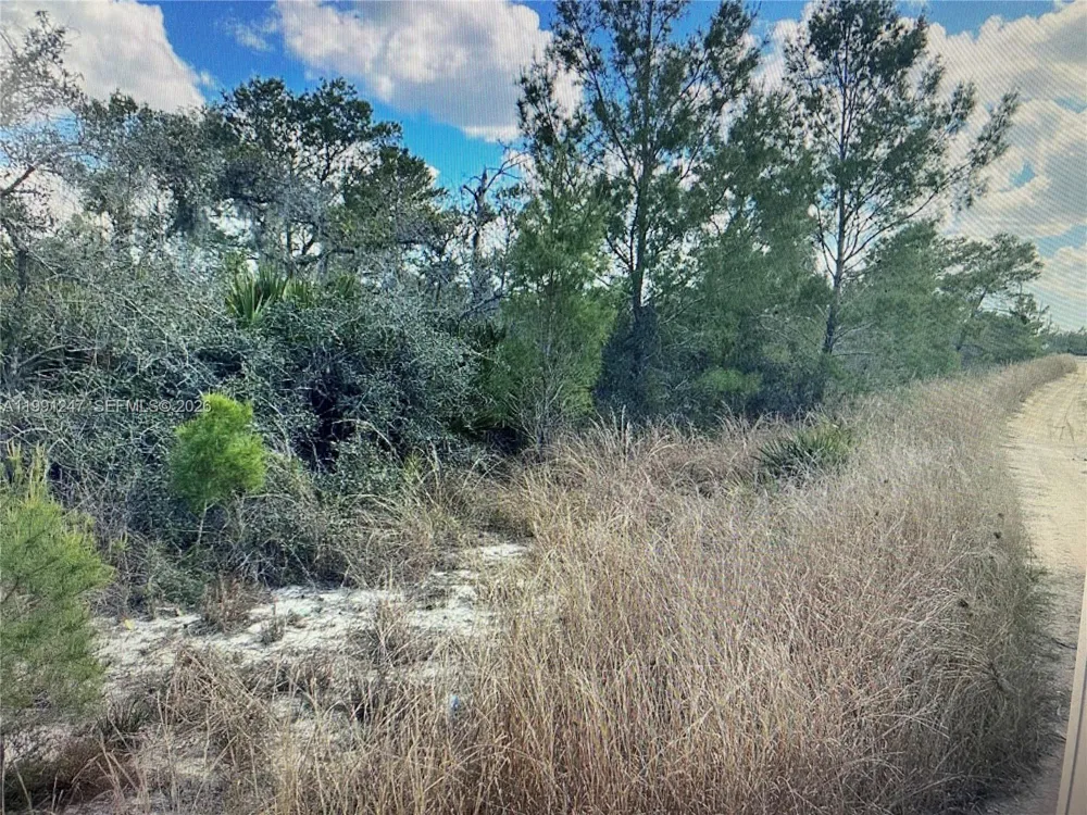 123 DARTMOOR AVE Lake Placid, FL 33852