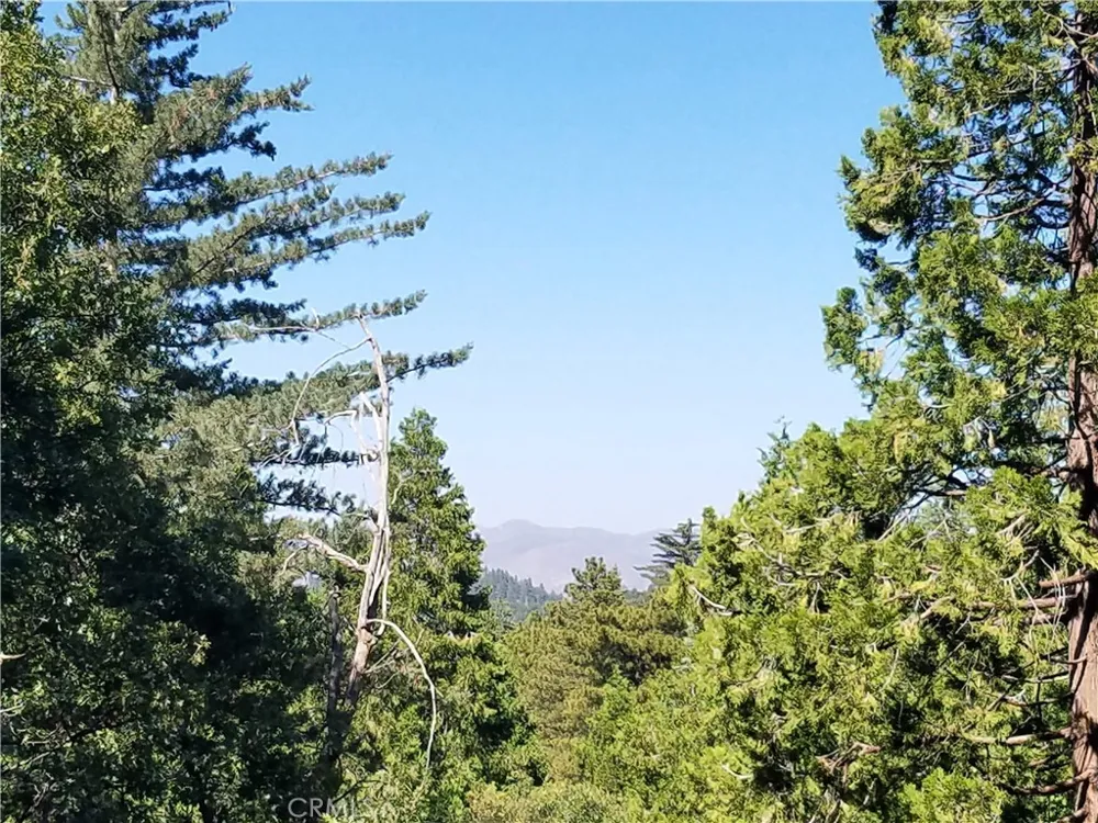 26236 Boulder Lane Twin Peaks, CA 92391