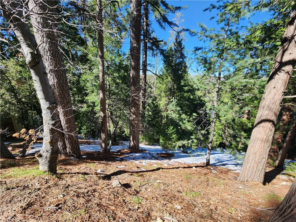 26236 Boulder Lane Twin Peaks, CA 92391