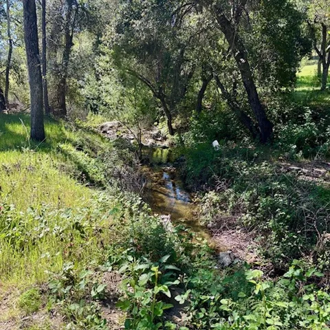 AV Ranch Road