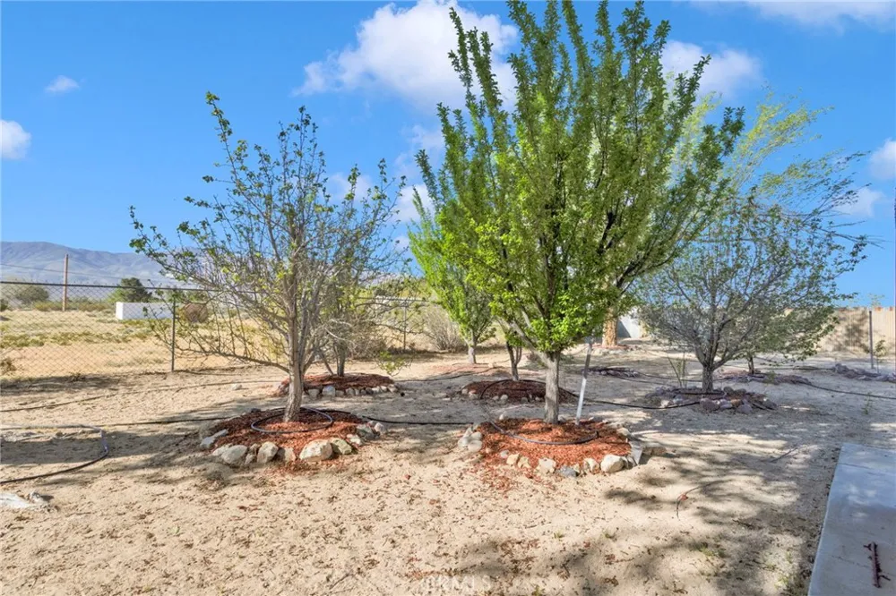 10298 Custer Avenue Lucerne Valley, CA 92356