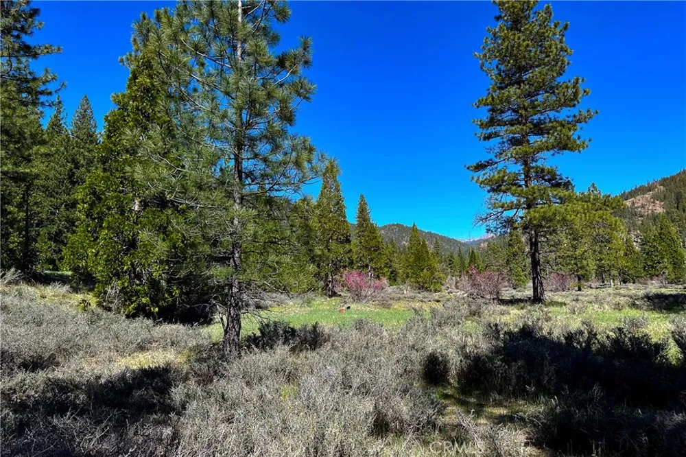 79402 State Highway 3 Trinity Center, CA 96091