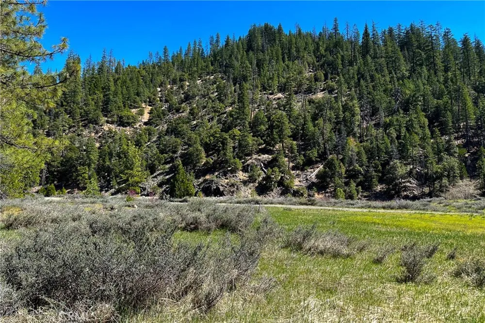 79402 State Highway 3 Trinity Center, CA 96091