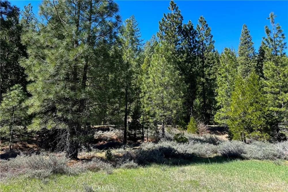79402 State Highway 3 Trinity Center, CA 96091