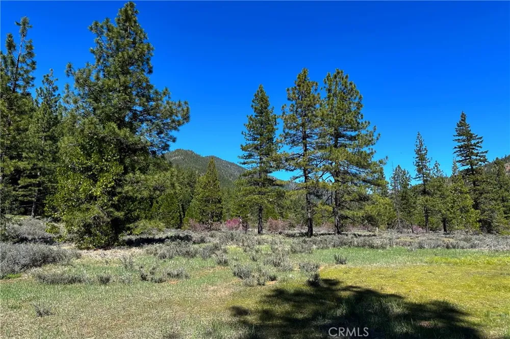 79402 State Highway 3 Trinity Center, CA 96091