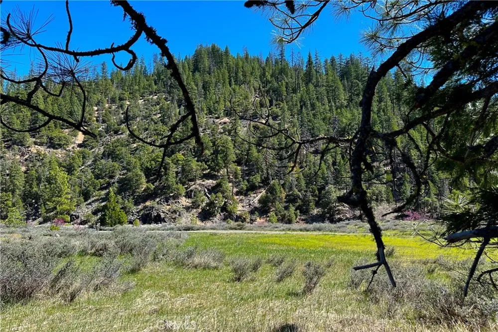 79402 State Highway 3 Trinity Center, CA 96091