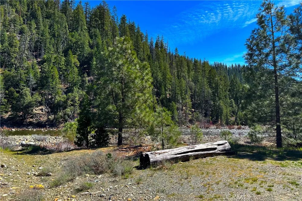 79402 State Highway 3 Trinity Center, CA 96091