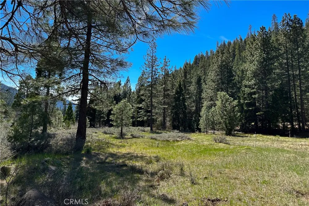 79402 State Highway 3 Trinity Center, CA 96091