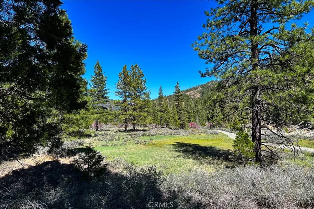 79402 State Highway 3 Trinity Center, CA 96091