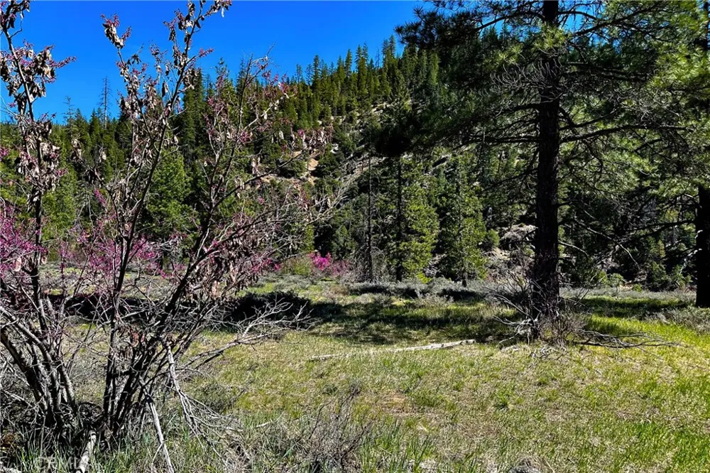 79402 State Highway 3 Trinity Center, CA 96091