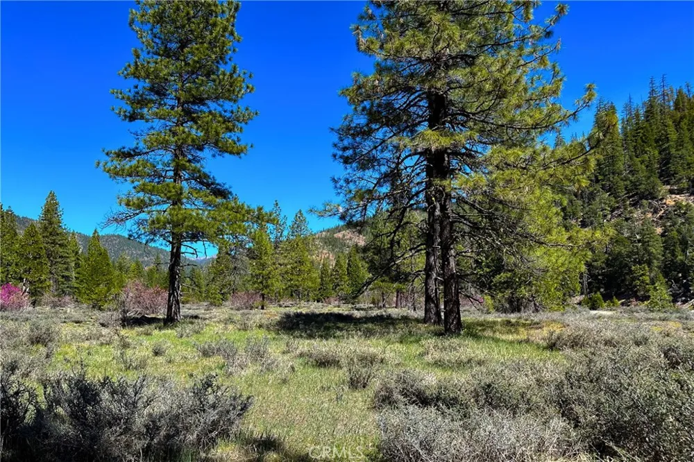 79402 State Highway 3 Trinity Center, CA 96091