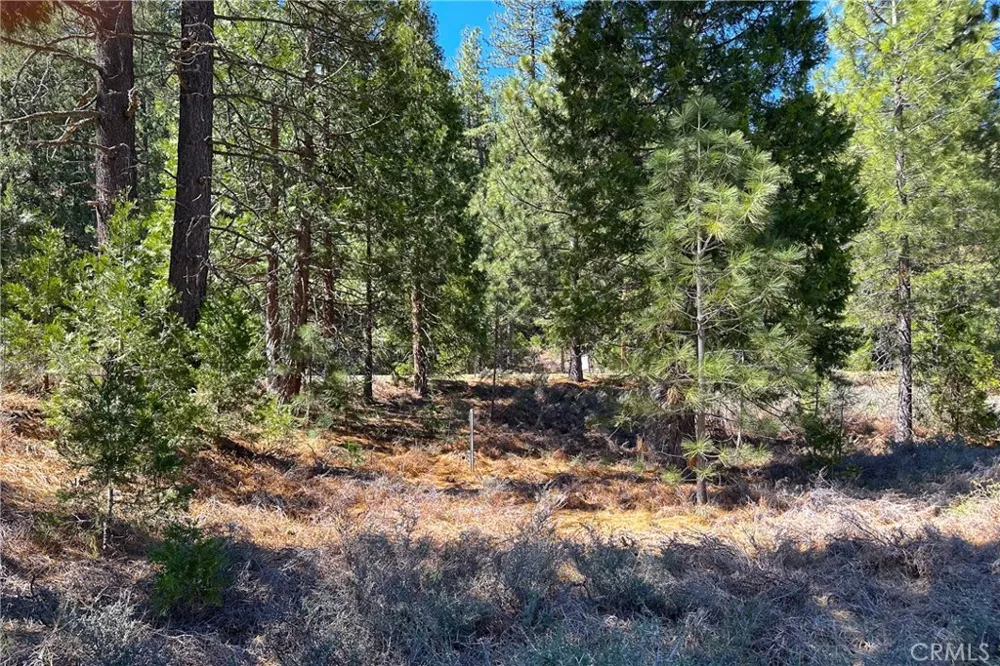 79402 State Highway 3 Trinity Center, CA 96091