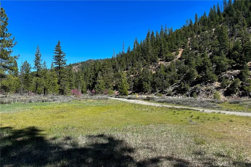 79402 State Highway 3 Trinity Center, CA 96091