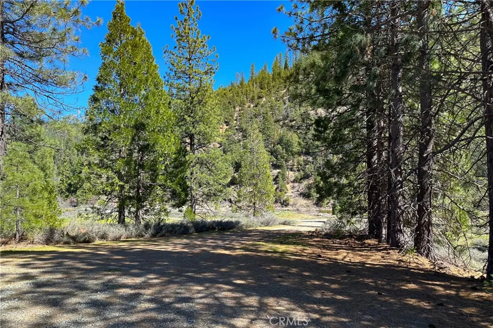 79402 State Highway 3 Trinity Center, CA 96091