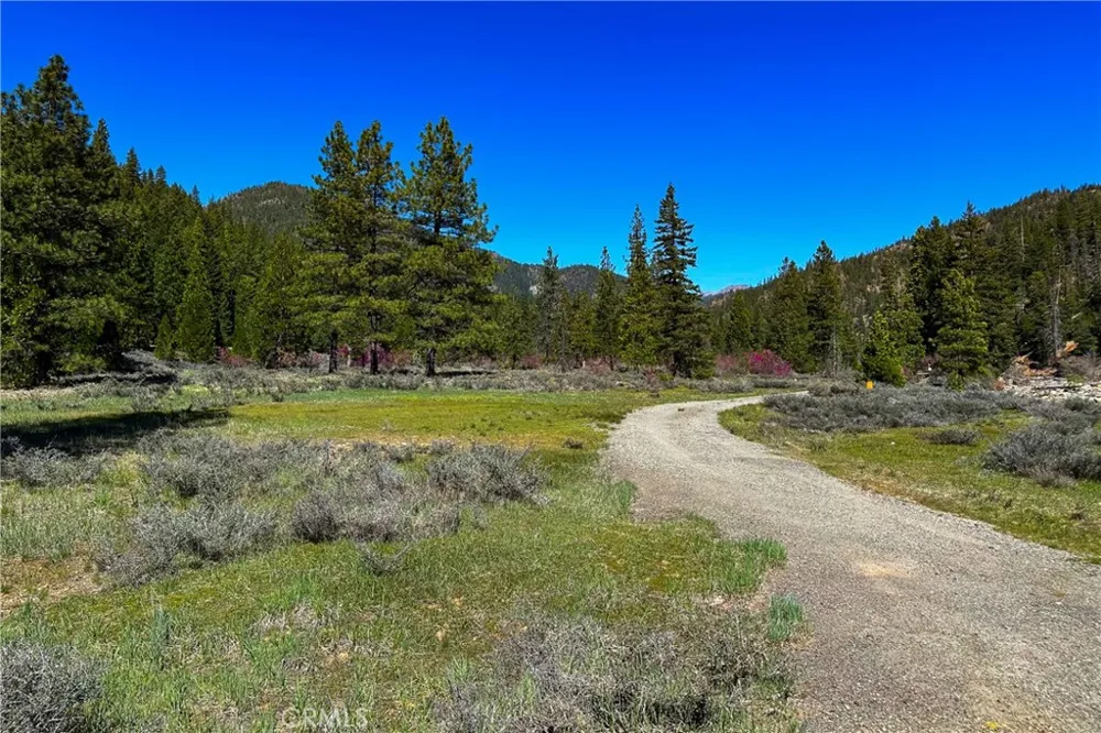 79402 State Highway 3 Trinity Center, CA 96091