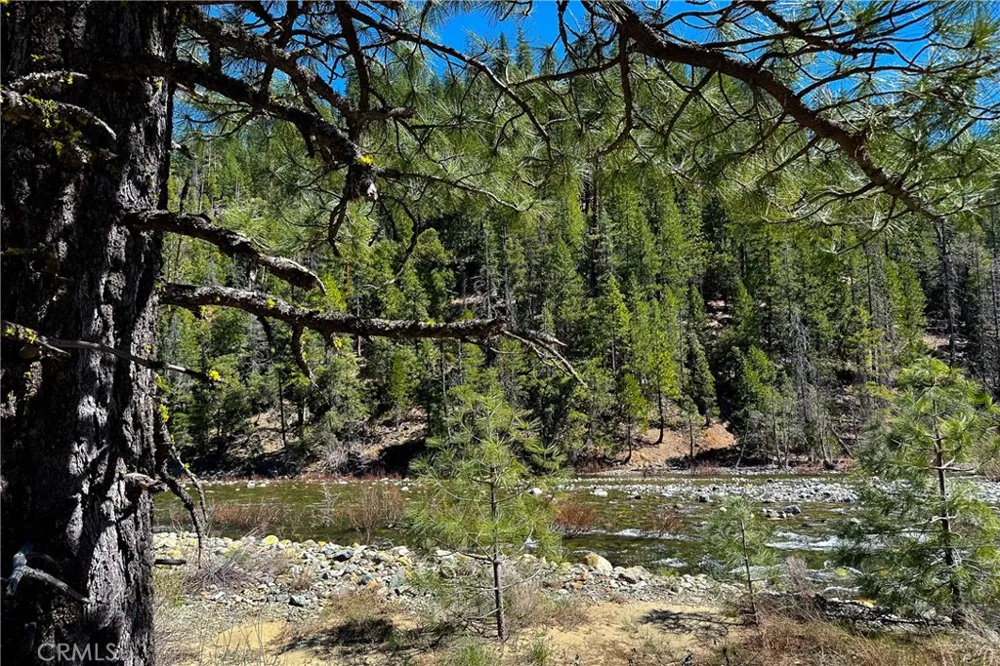 79402 State Highway 3 Trinity Center, CA 96091