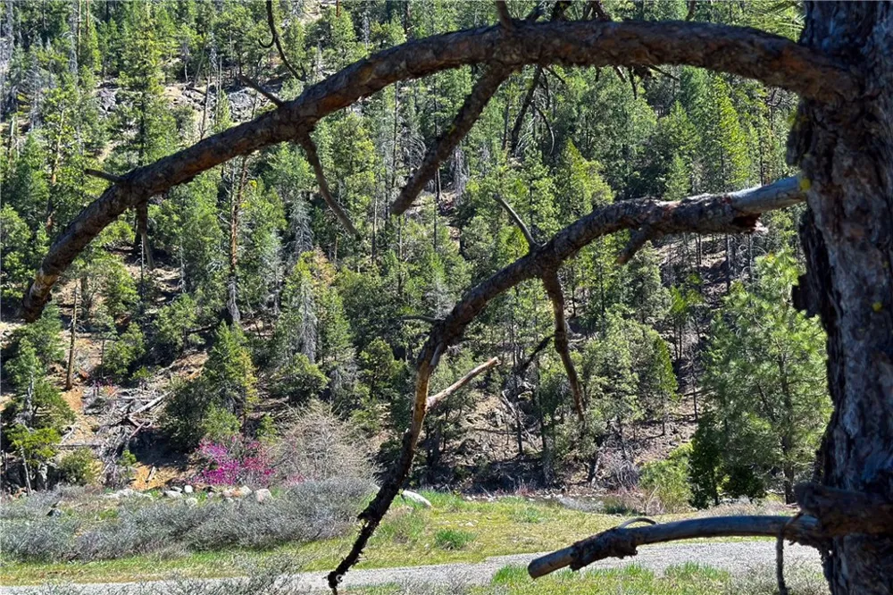 79402 State Highway 3 Trinity Center, CA 96091