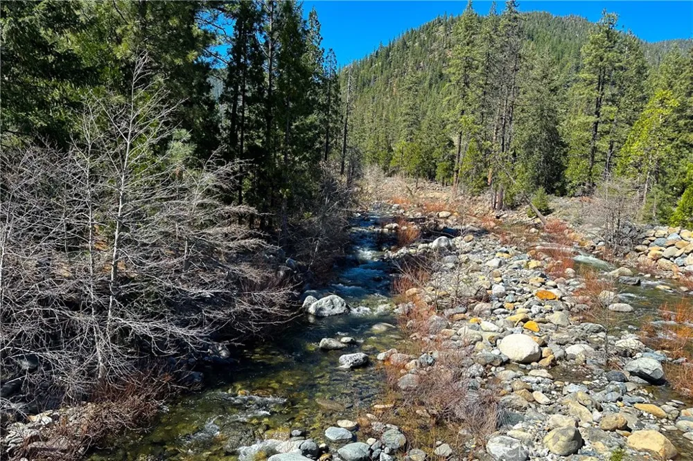 79402 State Highway 3 Trinity Center, CA 96091