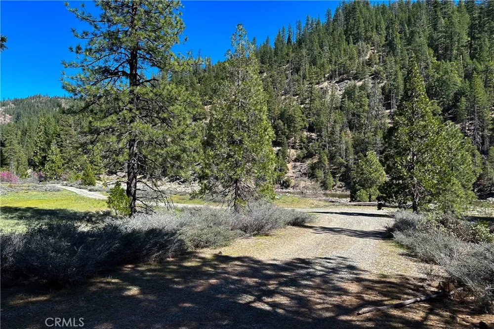 79402 State Highway 3 Trinity Center, CA 96091
