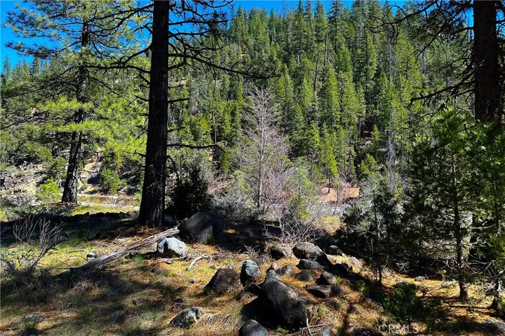 79402 State Highway 3 Trinity Center, CA 96091