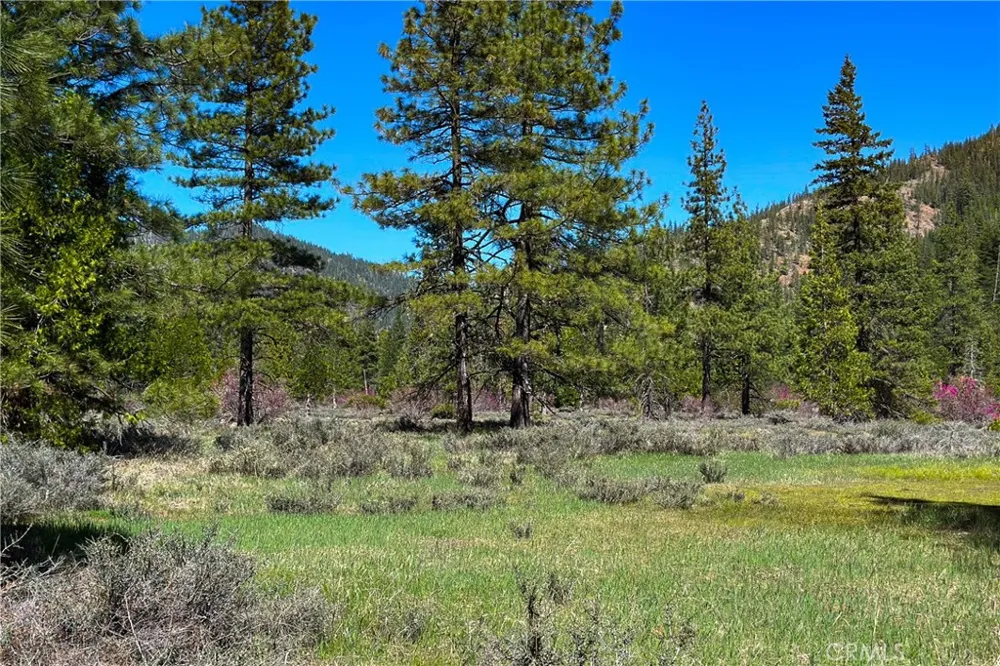 79402 State Highway 3 Trinity Center, CA 96091