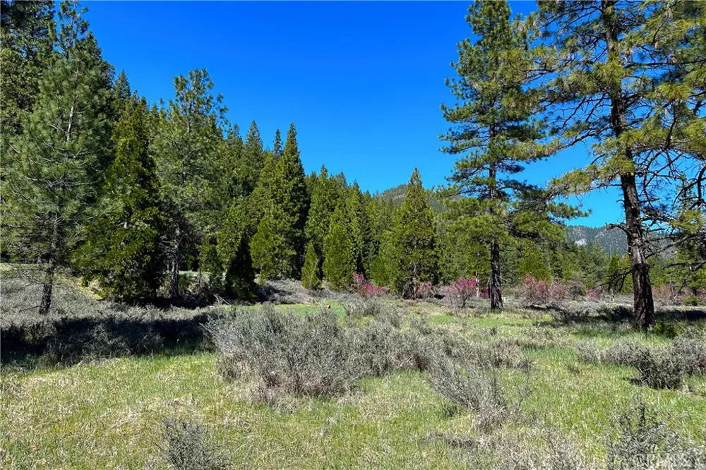 79402 State Highway 3 Trinity Center, CA 96091