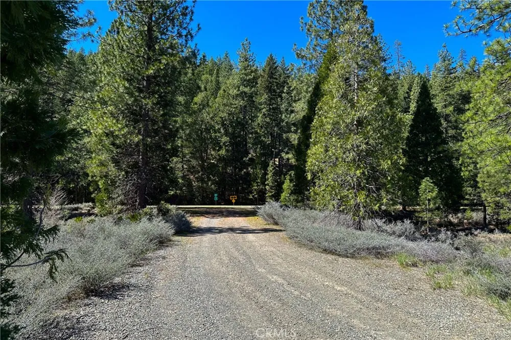 79402 State Highway 3 Trinity Center, CA 96091