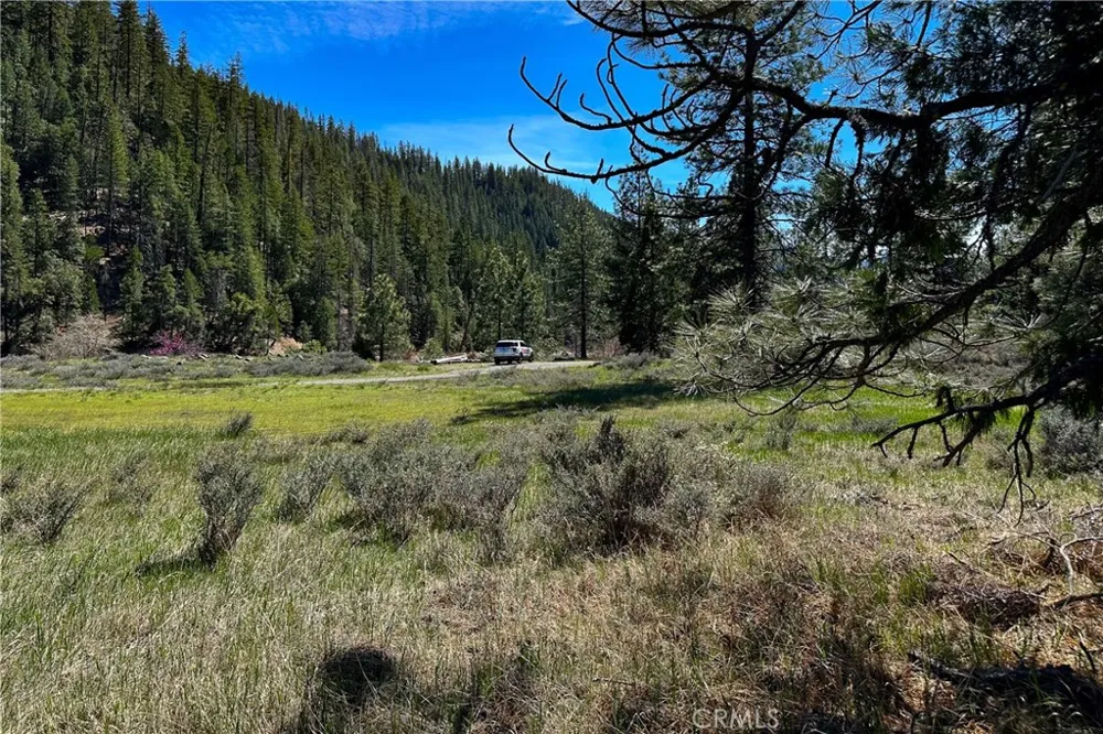 79402 State Highway 3 Trinity Center, CA 96091
