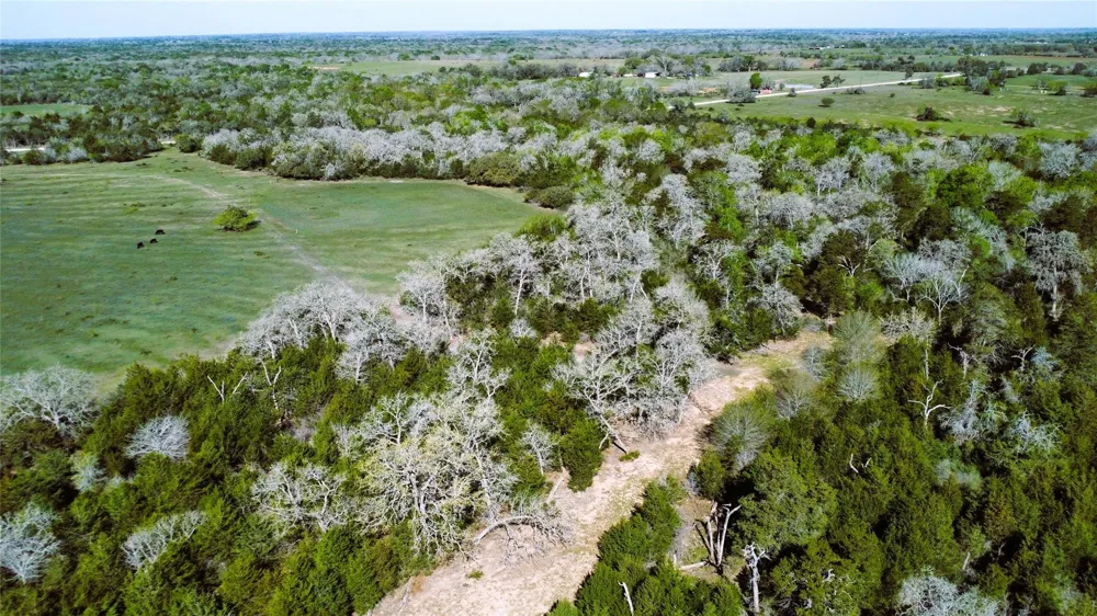 County Road 138 Hallettsville, TX 77964
