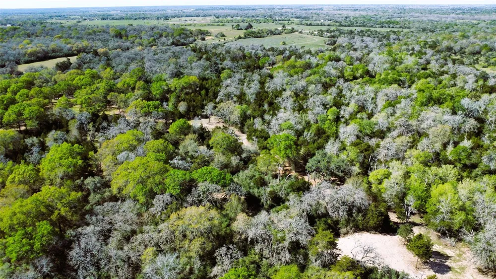 County Road 138 Hallettsville, TX 77964