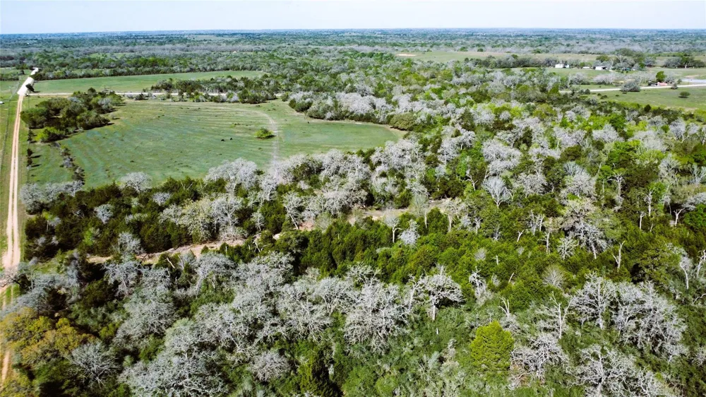 County Road 138 Hallettsville, TX 77964