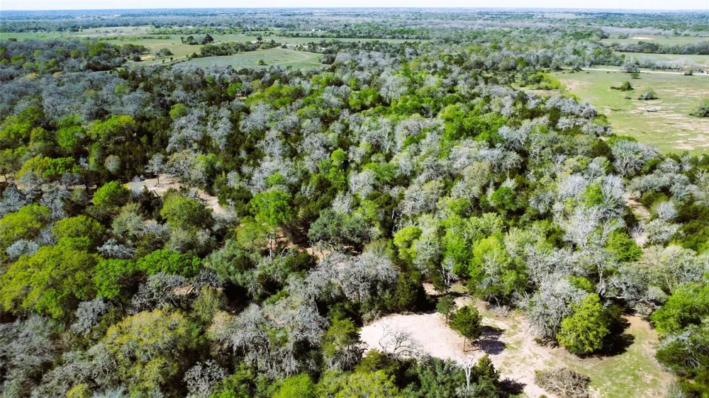 County Road 138 Hallettsville, TX 77964