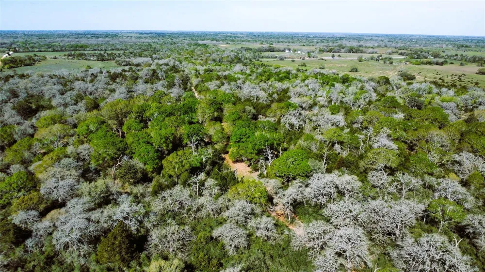 County Road 138 Hallettsville, TX 77964