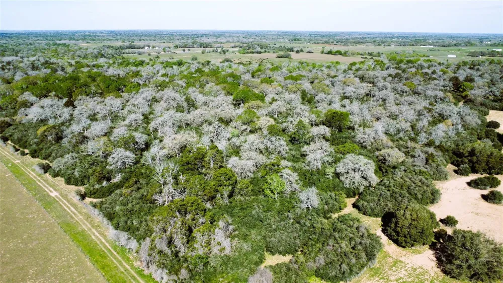 County Road 138 Hallettsville, TX 77964