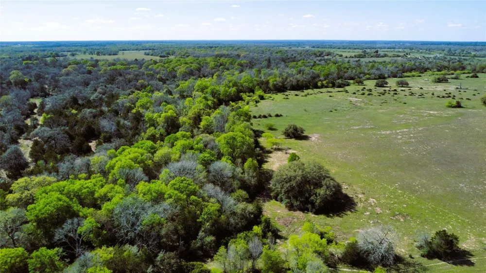 County Road 138 Hallettsville, TX 77964