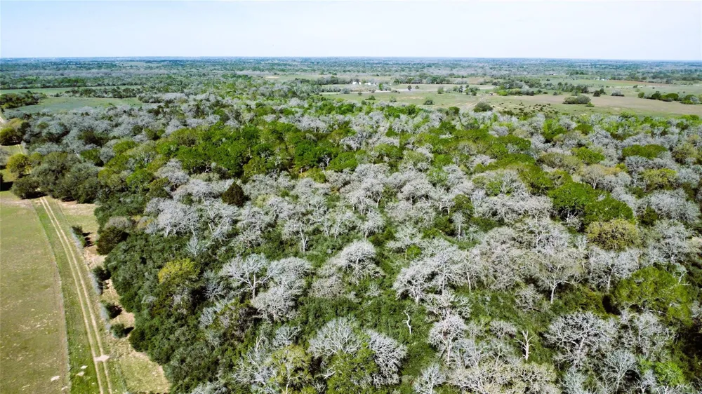 County Road 138 Hallettsville, TX 77964