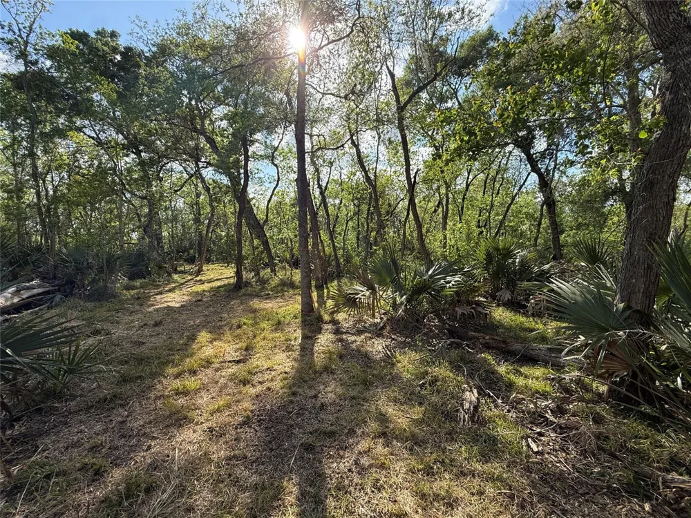 1 County Road 332 Sweeny, TX 77480