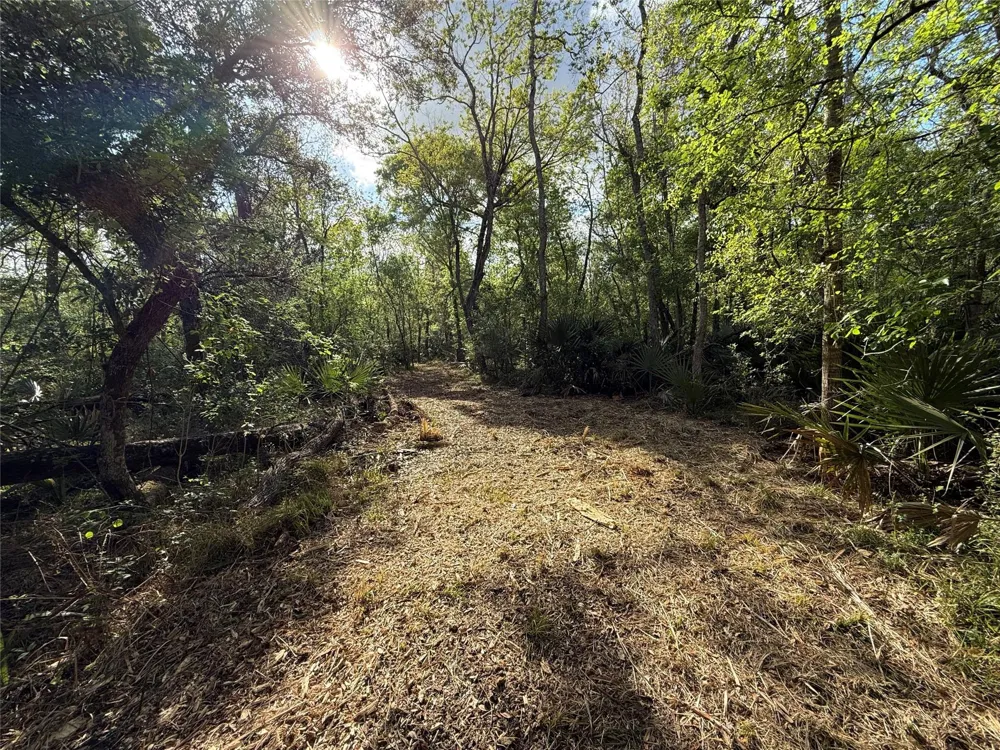 1 County Road 332 Sweeny, TX 77480