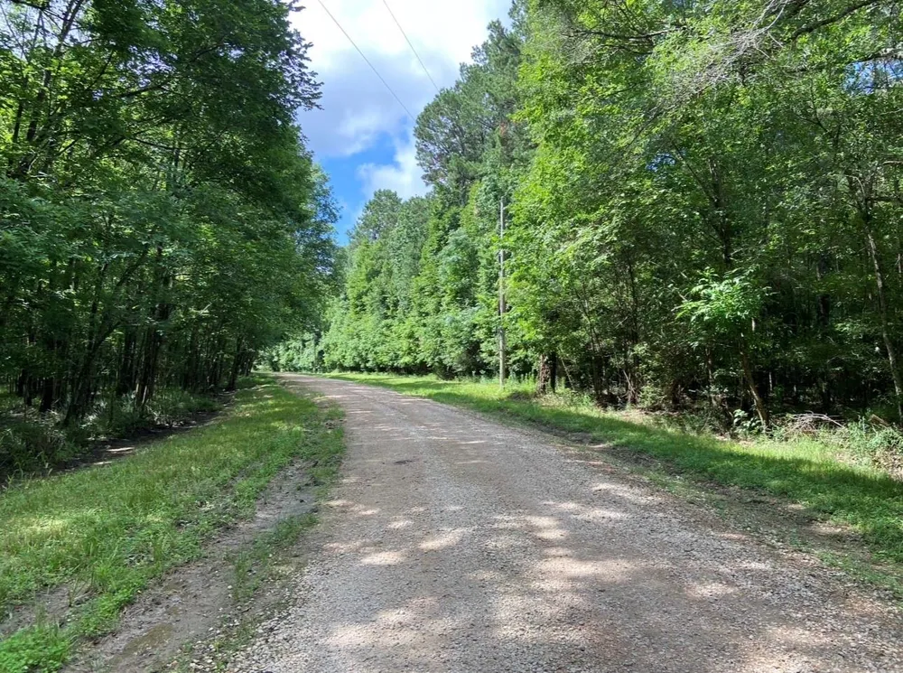 Royal Estates Dr Conroe, TX 77303