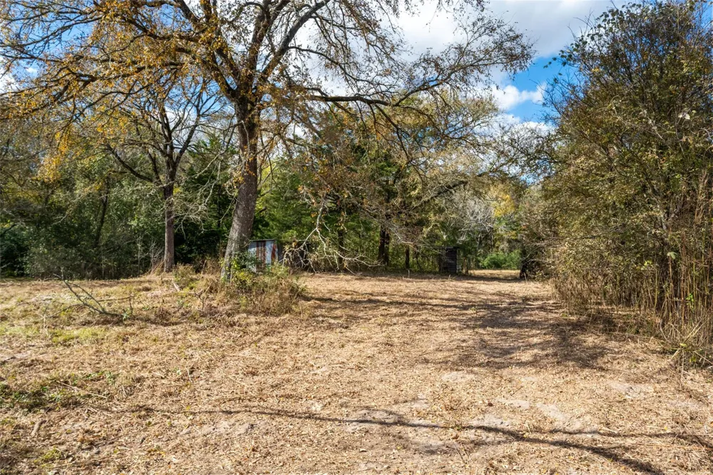 Fm 1361 Somerville, TX 77879