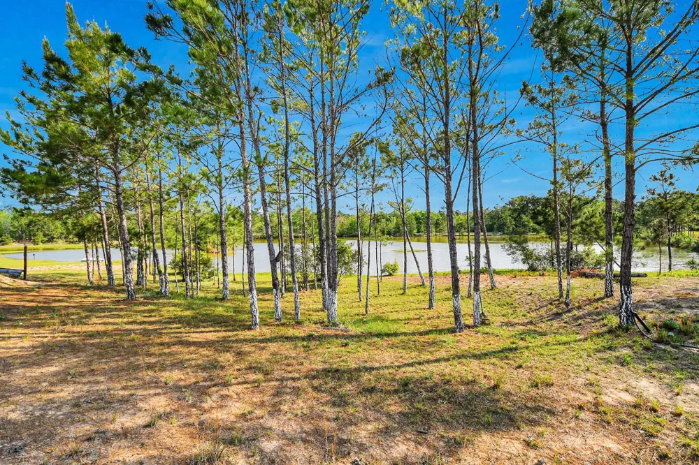 20065 Spring Hill Lane Porter, TX 77365