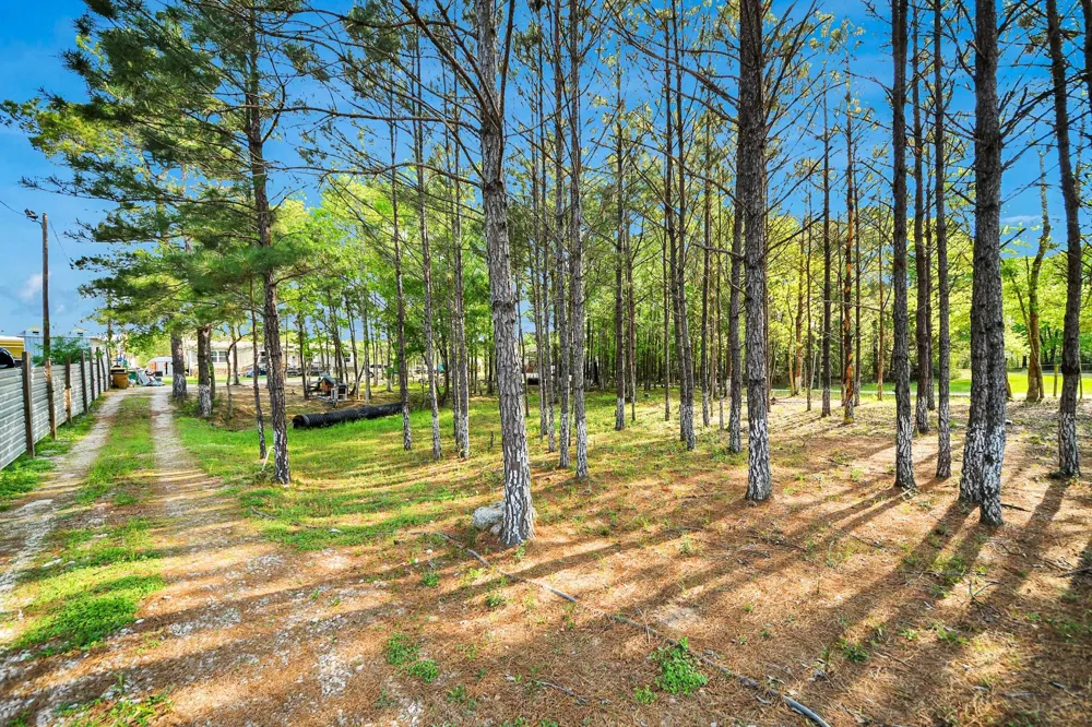 20065 Spring Hill Lane Porter, TX 77365