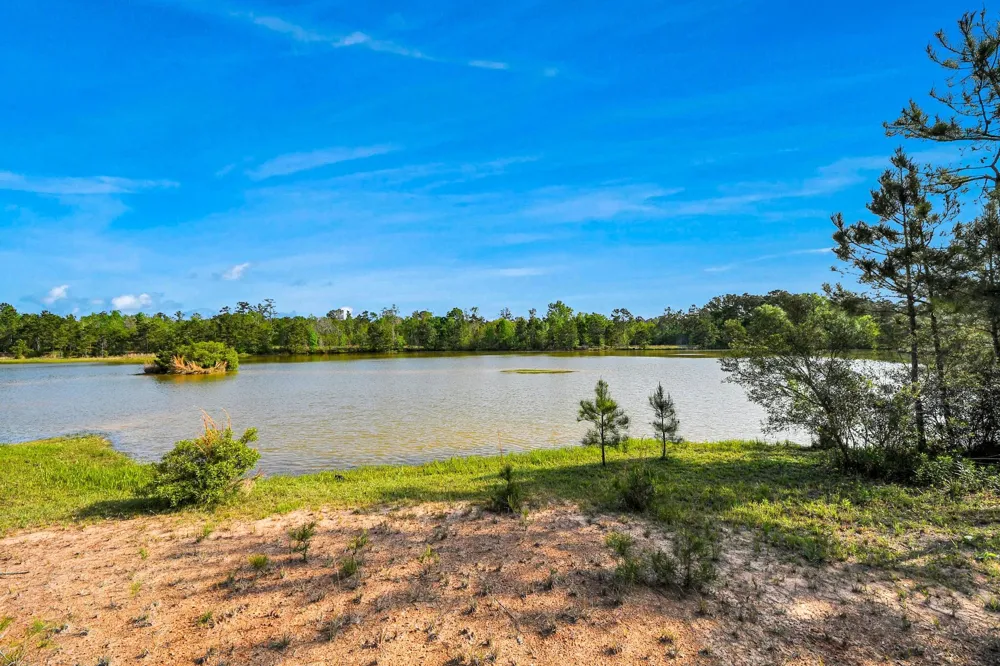 20065 Spring Hill Lane Porter, TX 77365