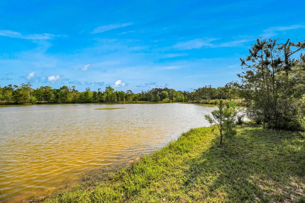 20065 Spring Hill Lane Porter, TX 77365