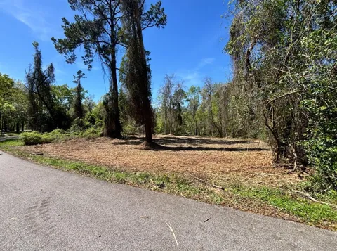 Timber Lakes Drive
