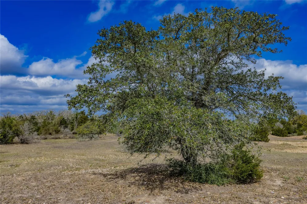 Fm 955 Fayetteville, TX 78940
