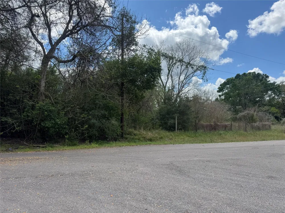 County Road 898 West Columbia, TX 77486