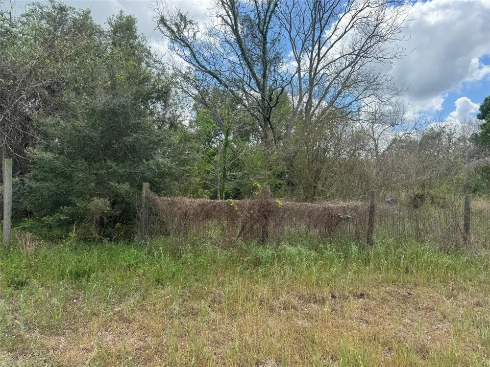 County Road 898 West Columbia, TX 77486