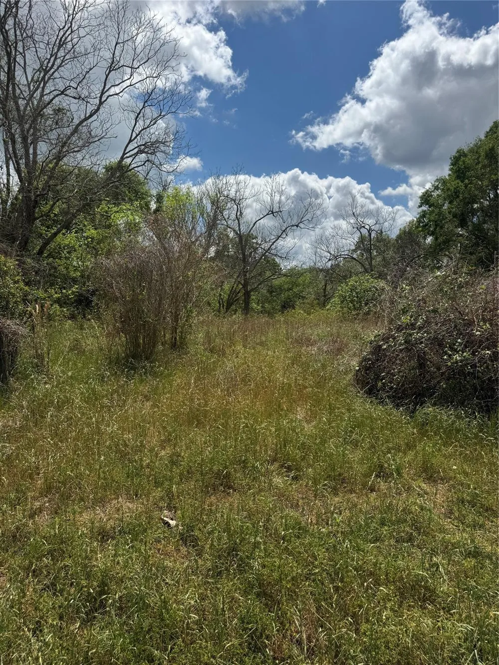 County Road 898 West Columbia, TX 77486