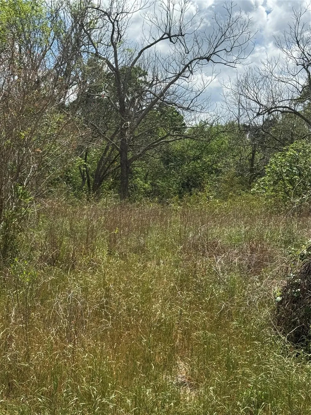 County Road 898 West Columbia, TX 77486